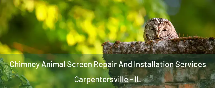  Chimney Animal Screen Repair And Installation Services Carpentersville - IL