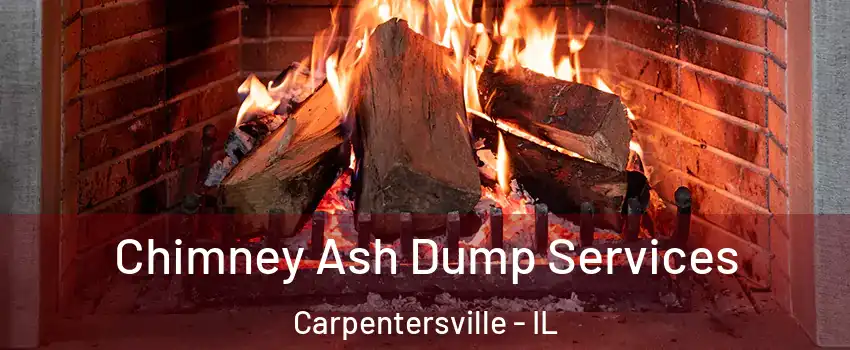  Chimney Ash Dump Services Carpentersville - IL