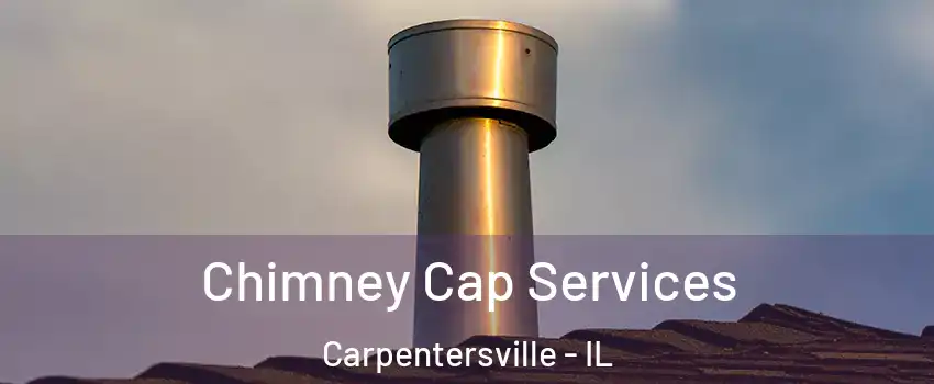  Chimney Cap Services Carpentersville - IL