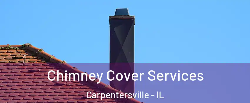  Chimney Cover Services Carpentersville - IL