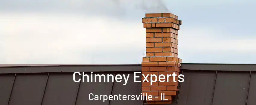 Chimney Experts Carpentersville - IL