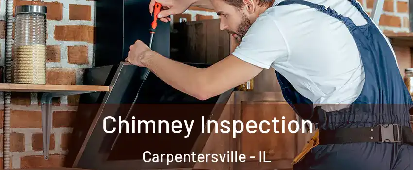  Chimney Inspection Carpentersville - IL