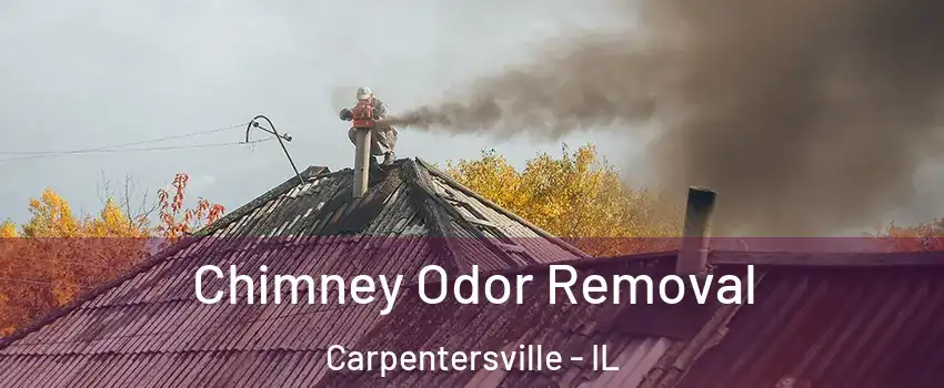  Chimney Odor Removal Carpentersville - IL