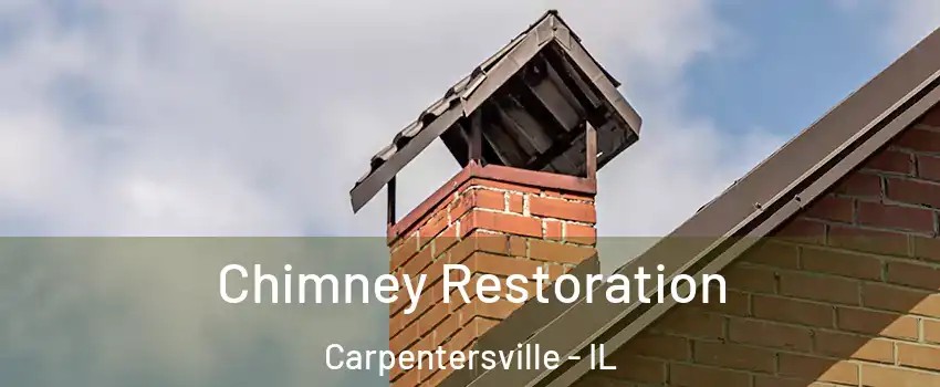  Chimney Restoration Carpentersville - IL