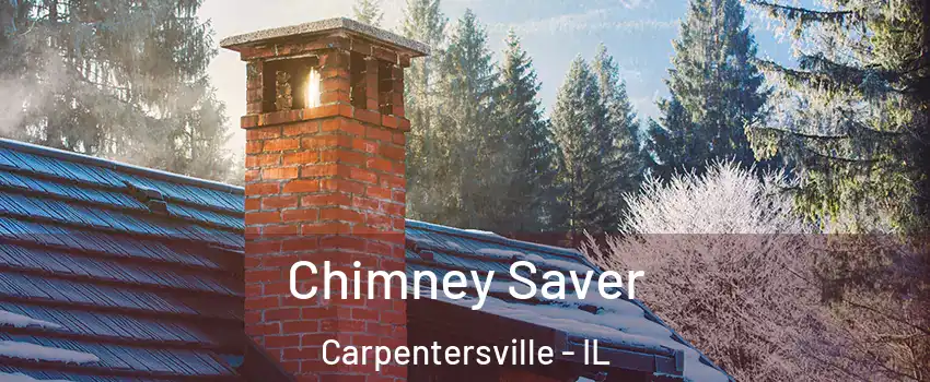  Chimney Saver Carpentersville - IL