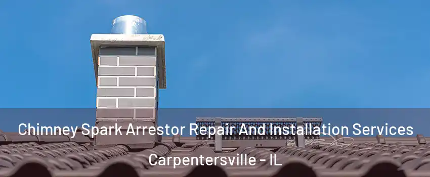  Chimney Spark Arrestor Repair And Installation Services Carpentersville - IL