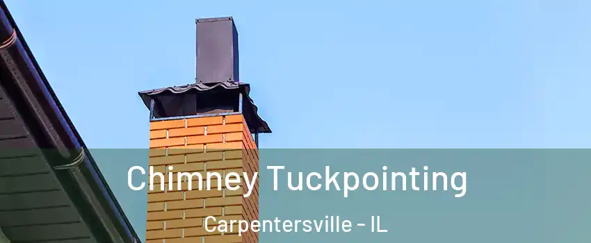  Chimney Tuckpointing Carpentersville - IL