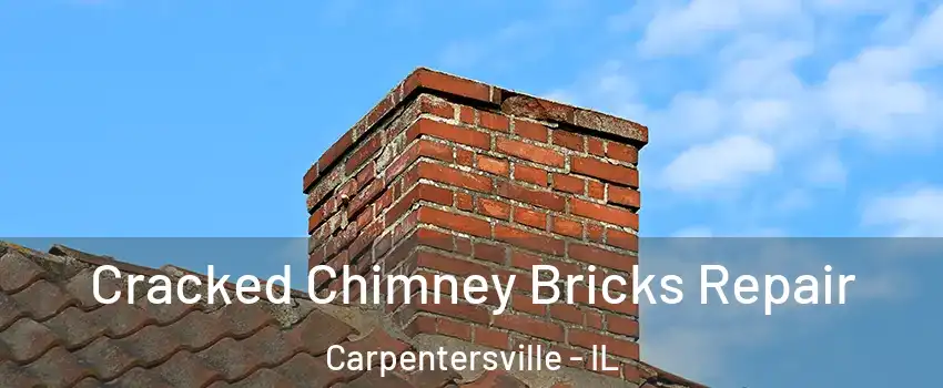  Cracked Chimney Bricks Repair Carpentersville - IL