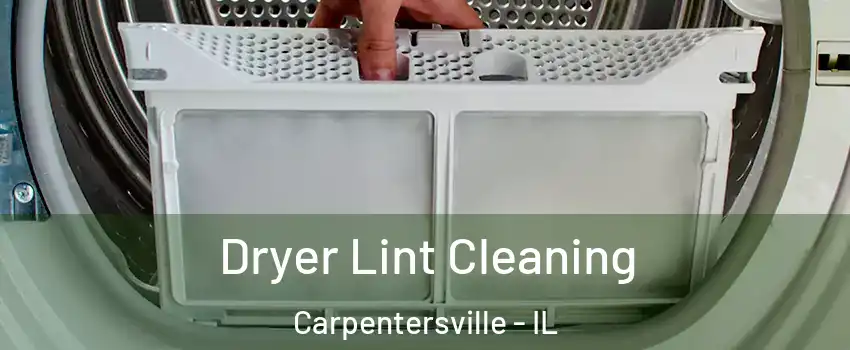  Dryer Lint Cleaning Carpentersville - IL