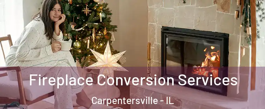  Fireplace Conversion Services Carpentersville - IL