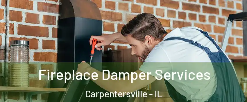  Fireplace Damper Services Carpentersville - IL
