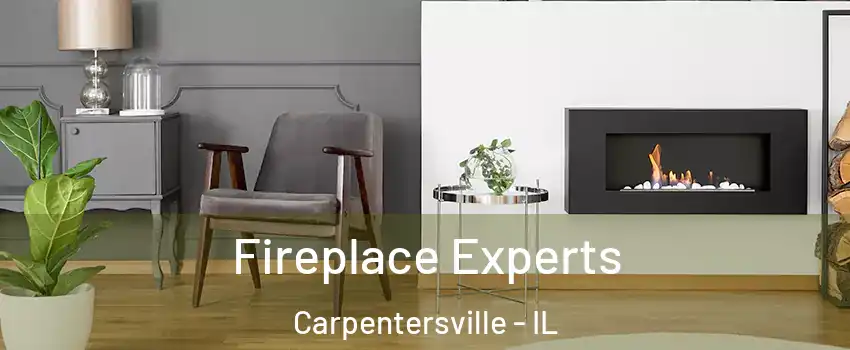  Fireplace Experts Carpentersville - IL