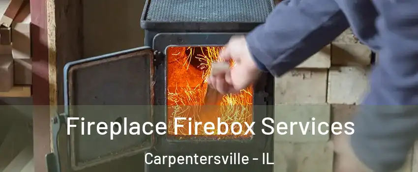  Fireplace Firebox Services Carpentersville - IL