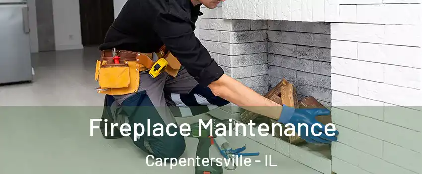  Fireplace Maintenance Carpentersville - IL