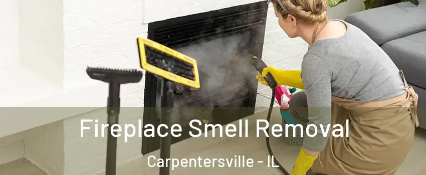 Fireplace Smell Removal Carpentersville - IL