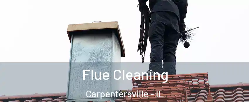  Flue Cleaning Carpentersville - IL