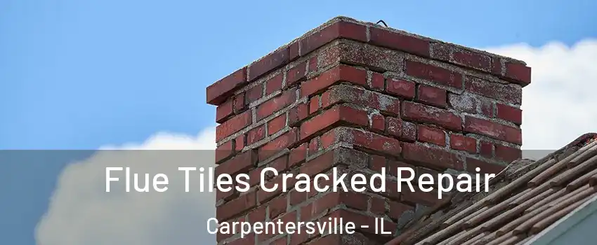  Flue Tiles Cracked Repair Carpentersville - IL