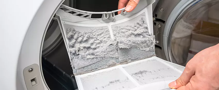 Best Dryer Lint Removal Company in Carpentersville, Illinois
