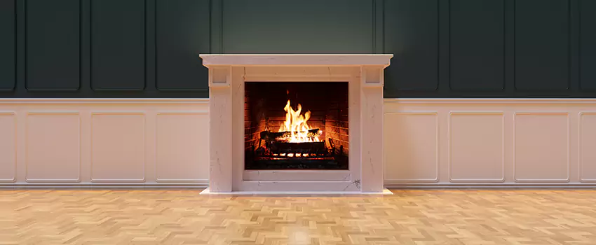 Napoleon Electric Fireplaces Inspection Service in Carpentersville, Illinois