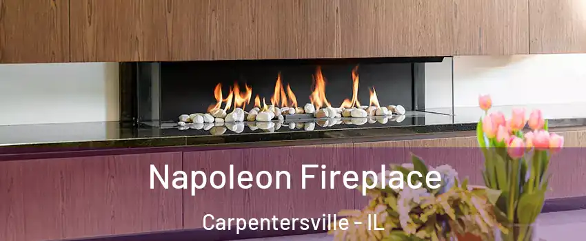  Napoleon Fireplace Carpentersville - IL