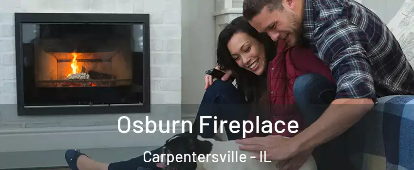  Osburn Fireplace Carpentersville - IL