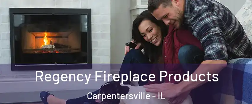  Regency Fireplace Products Carpentersville - IL